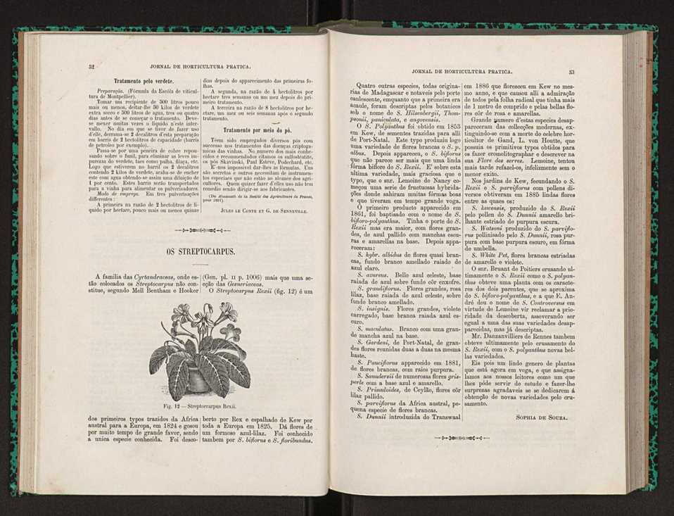 Jornal de horticultura prtica XXII 38