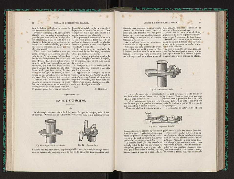 Jornal de horticultura prtica XXII 40