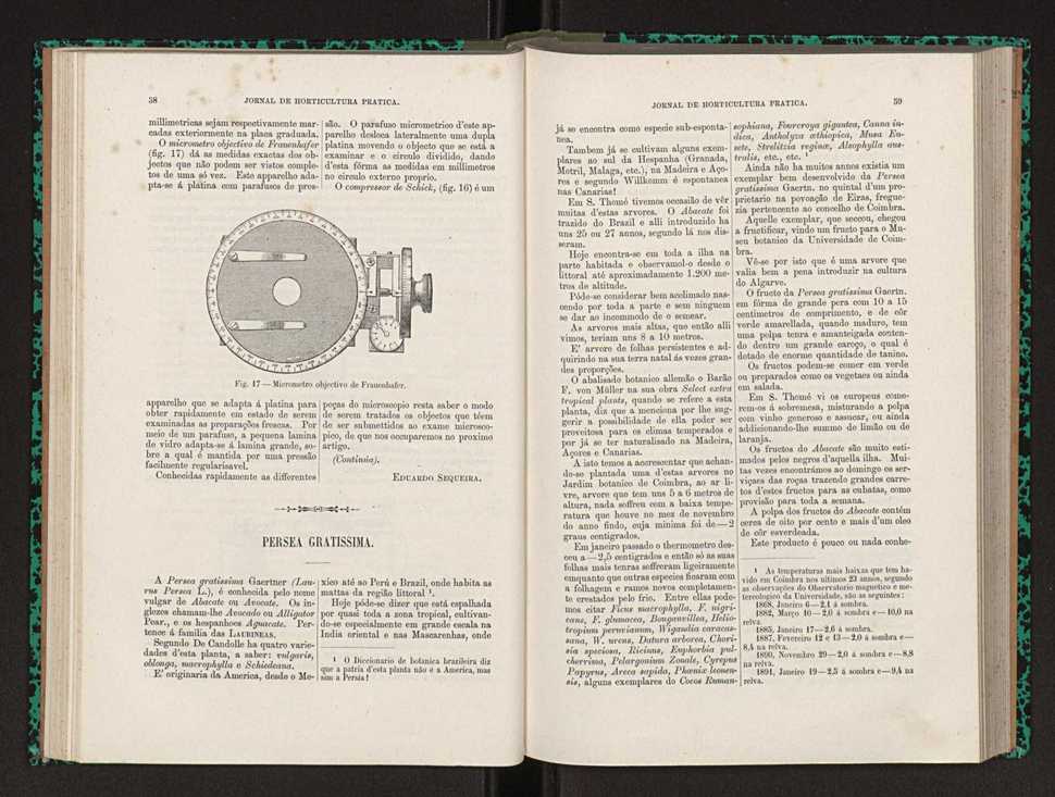 Jornal de horticultura prtica XXII 41