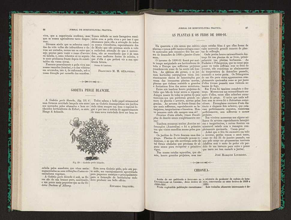 Jornal de horticultura prtica XXII 45