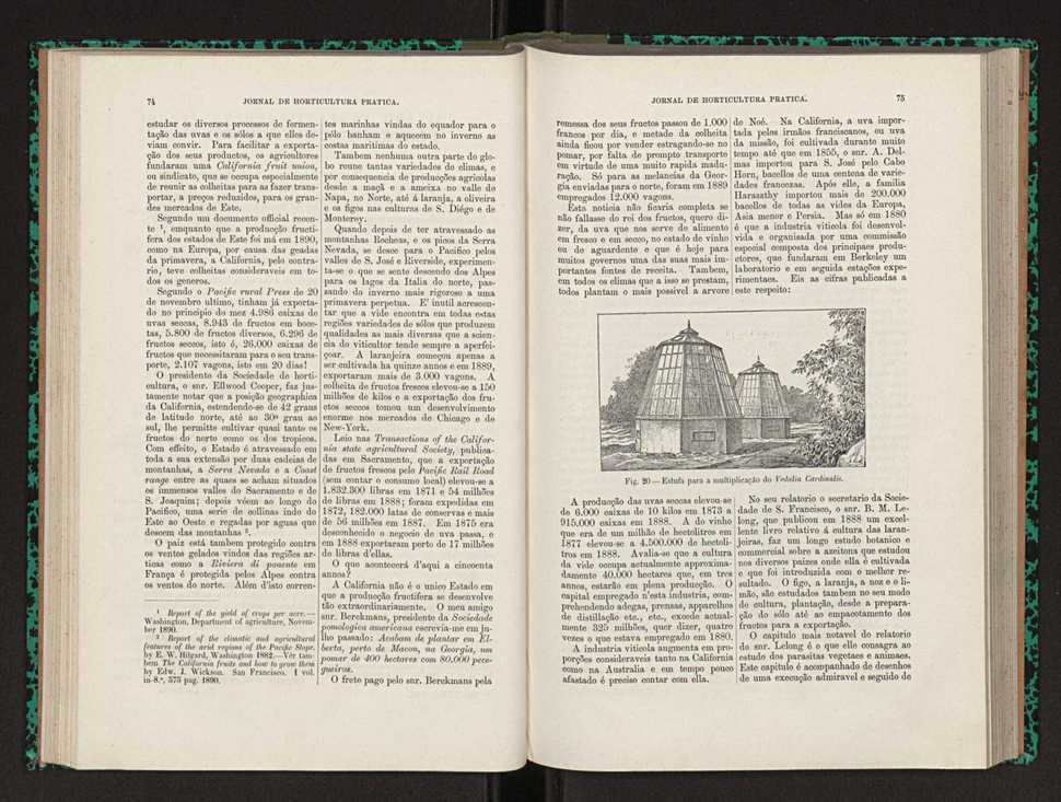 Jornal de horticultura prtica XXII 51