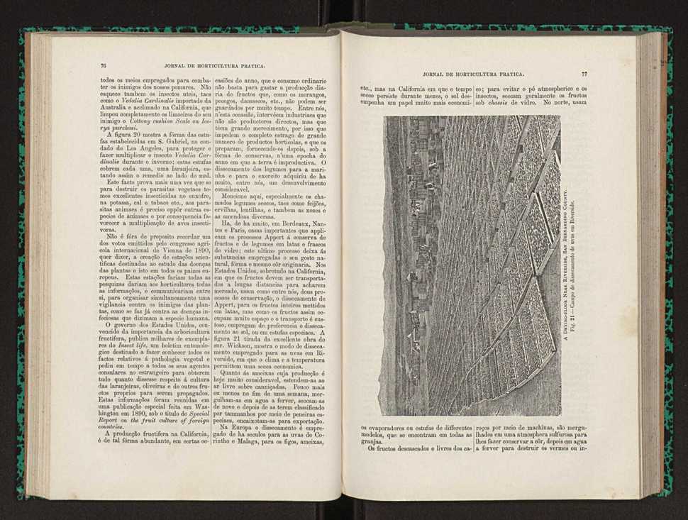 Jornal de horticultura prtica XXII 52