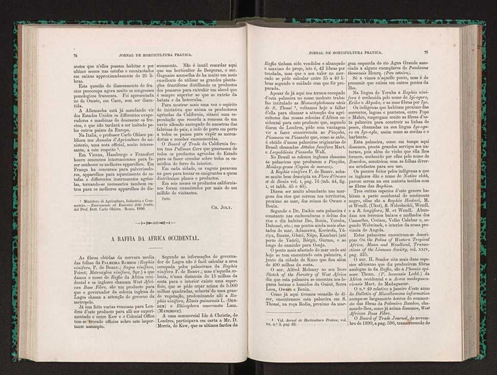 Jornal de horticultura prtica XXII 53