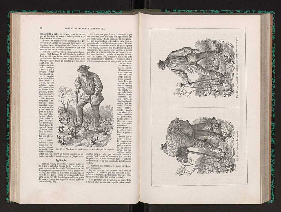 Jornal de horticultura prtica XXII 55