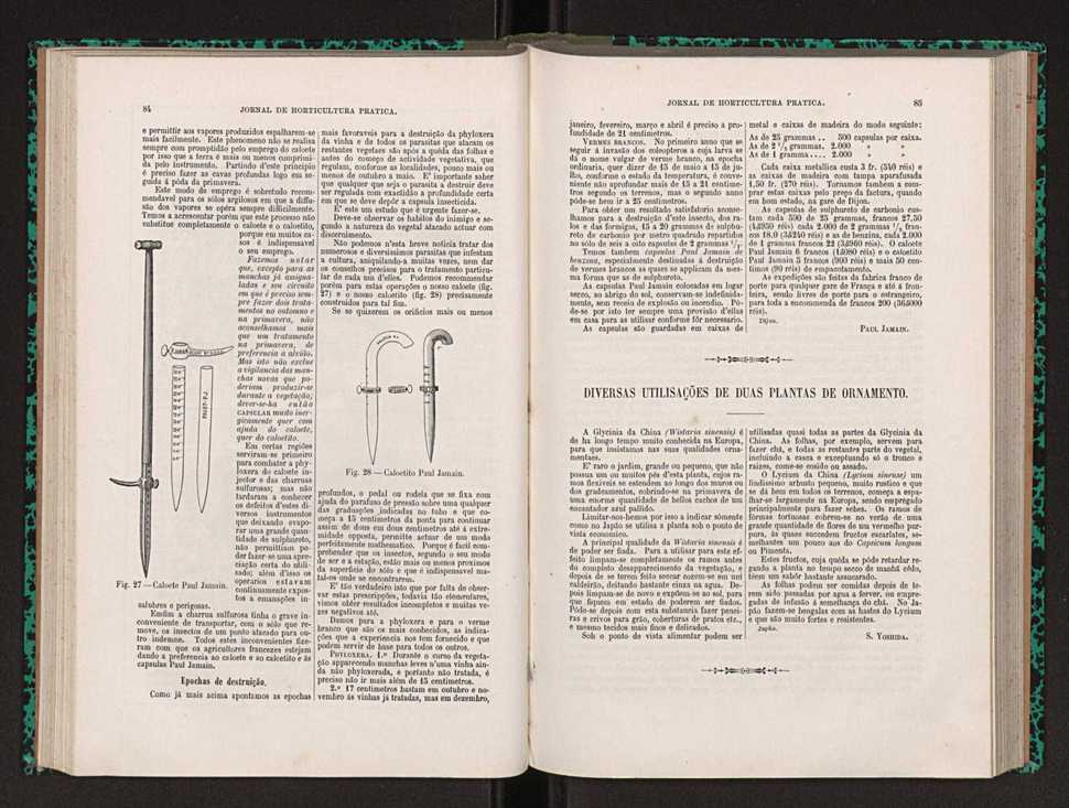 Jornal de horticultura prtica XXII 56