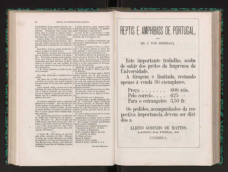 Jornal de horticultura pr�tica XXII 62
