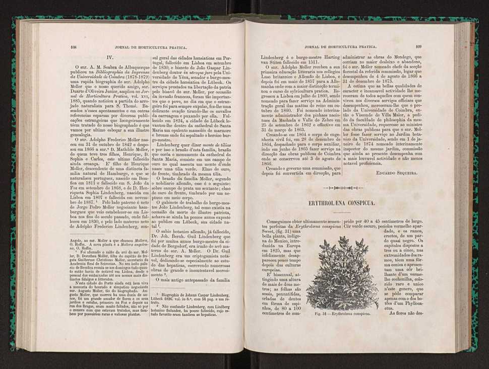 Jornal de horticultura prtica XXII 70