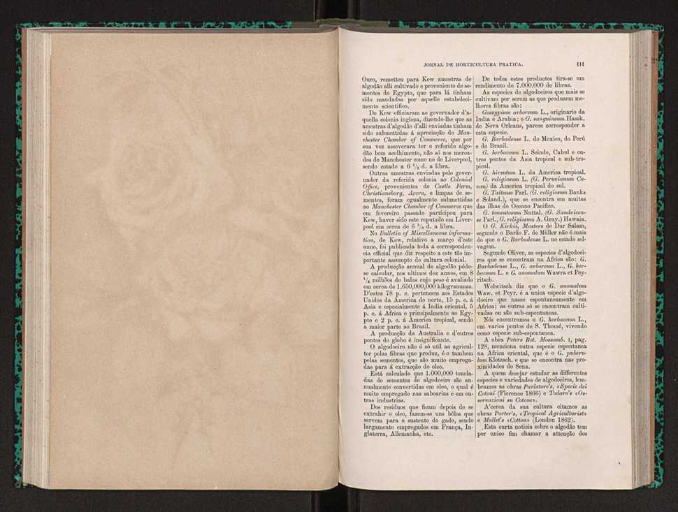 Jornal de horticultura prtica XXII 73