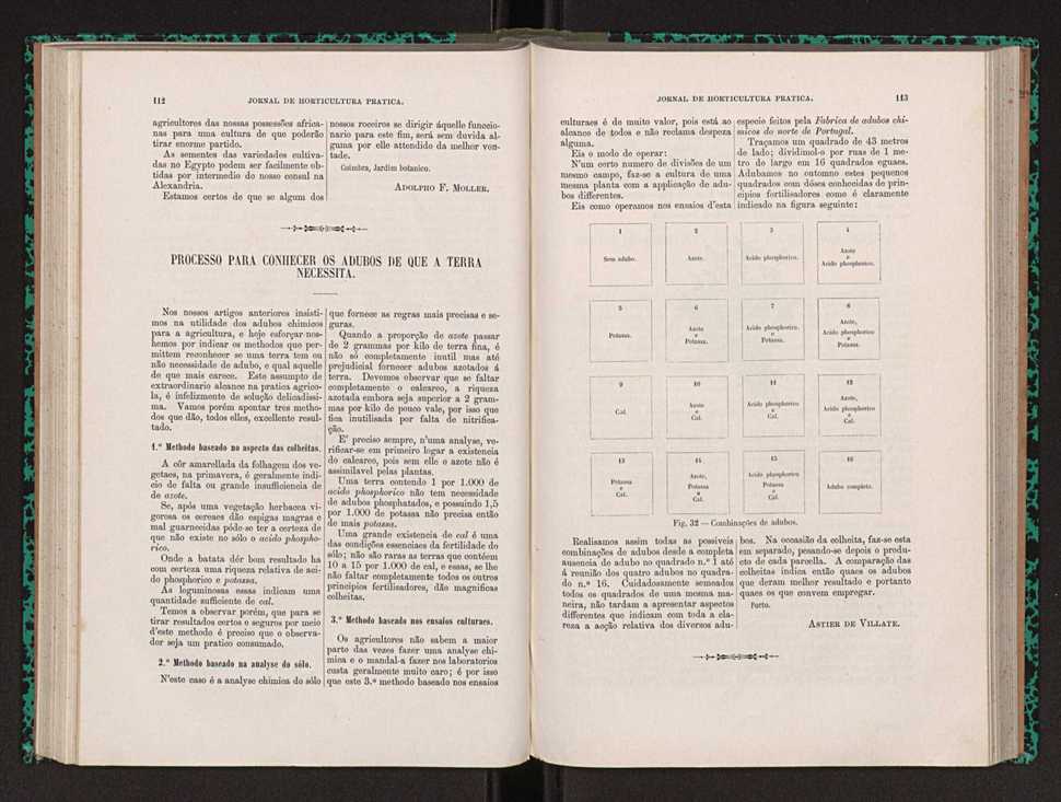 Jornal de horticultura prtica XXII 74