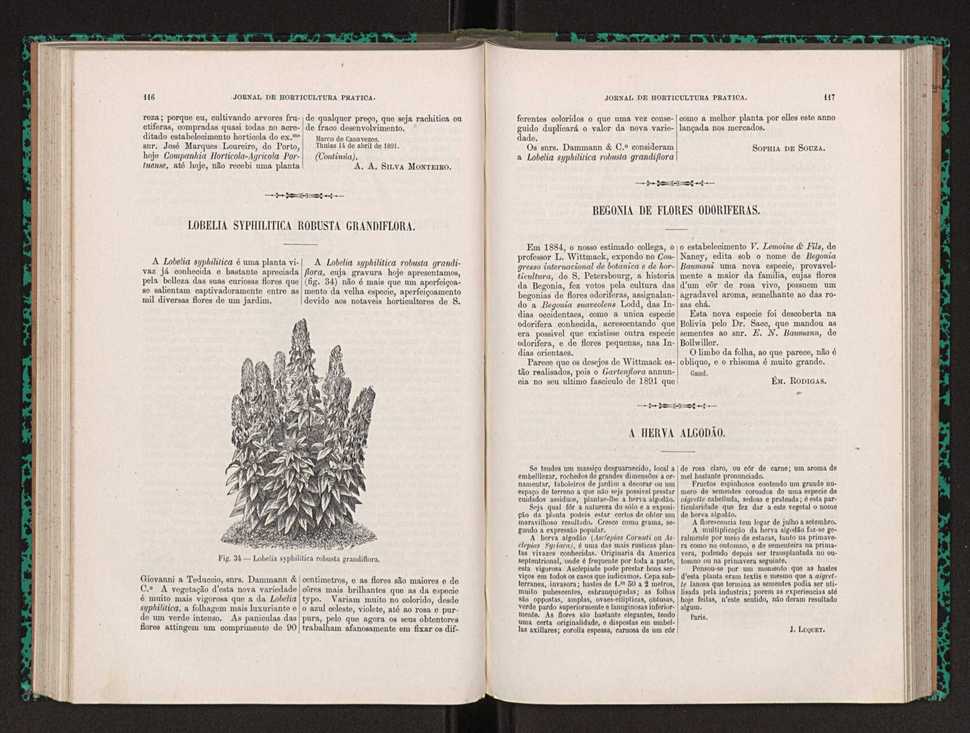 Jornal de horticultura prtica XXII 76