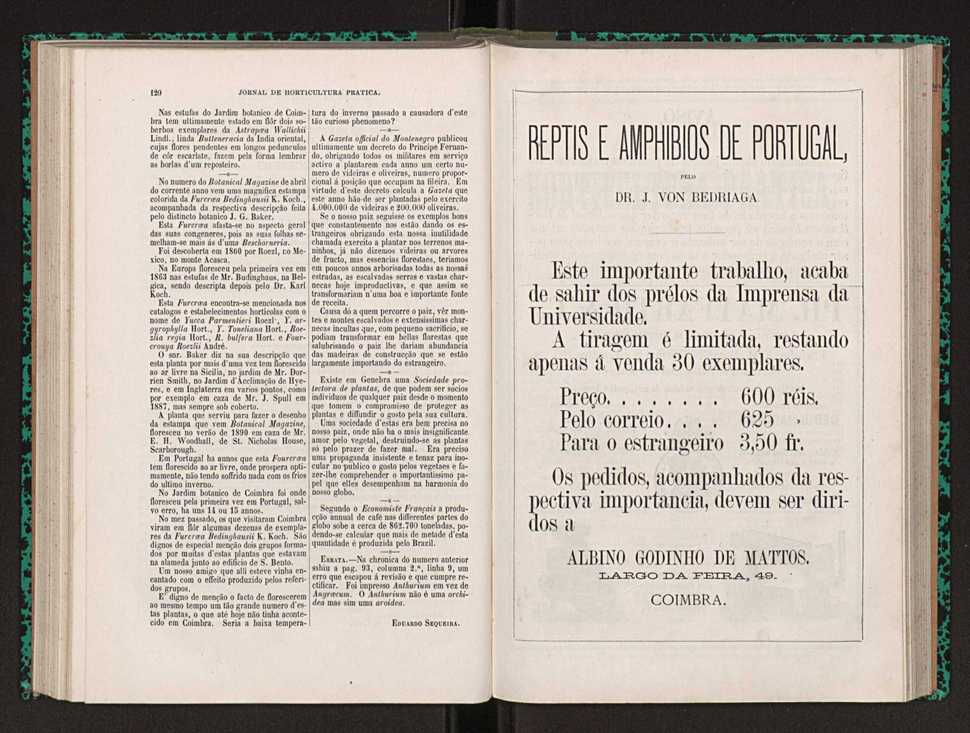 Jornal de horticultura prtica XXII 78