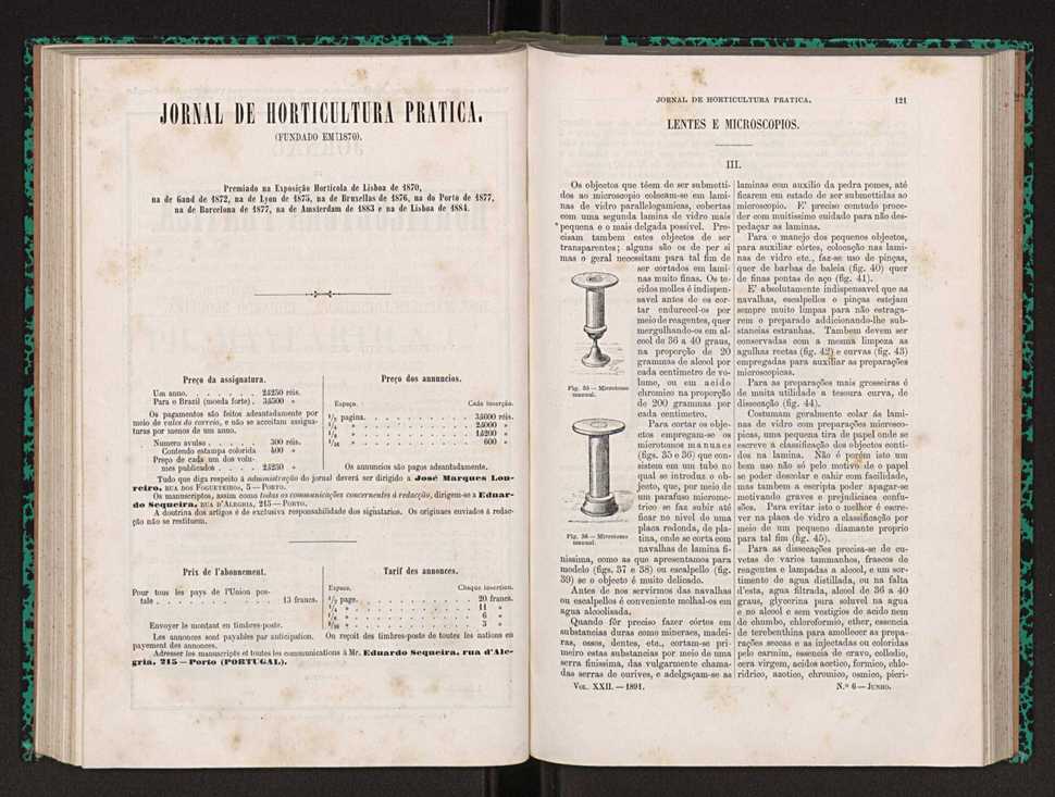 Jornal de horticultura prtica XXII 80