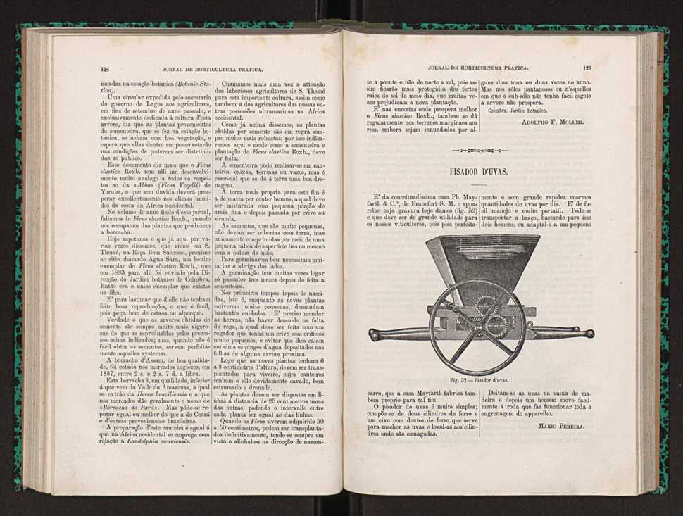 Jornal de horticultura prtica XXII 84
