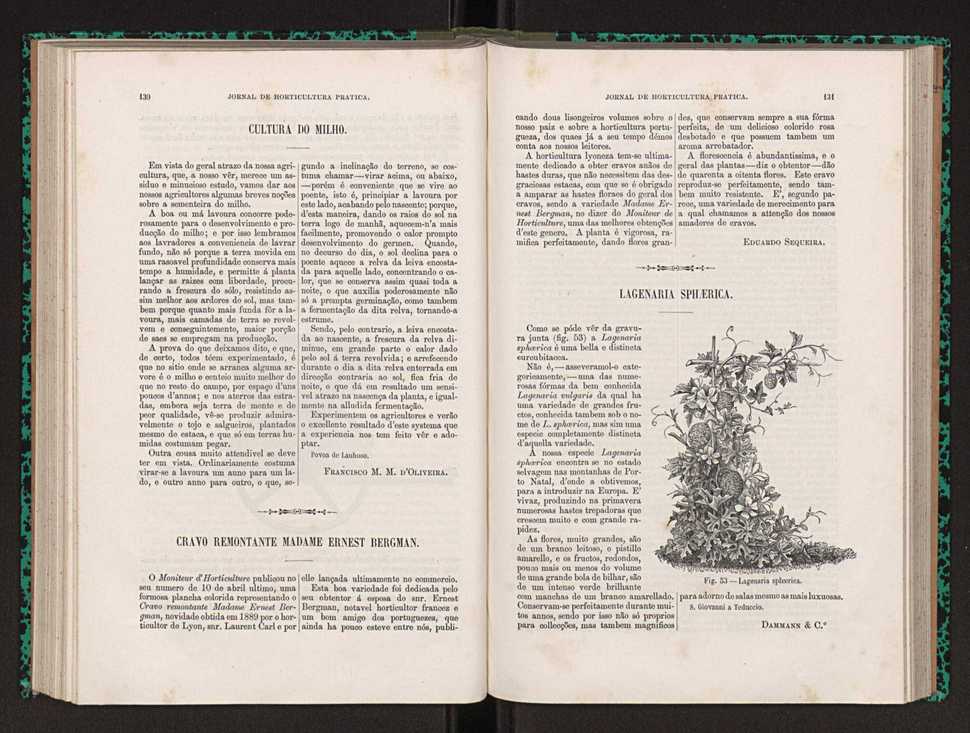 Jornal de horticultura prtica XXII 85