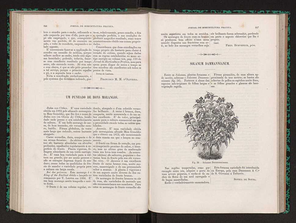 Jornal de horticultura prtica XXII 95