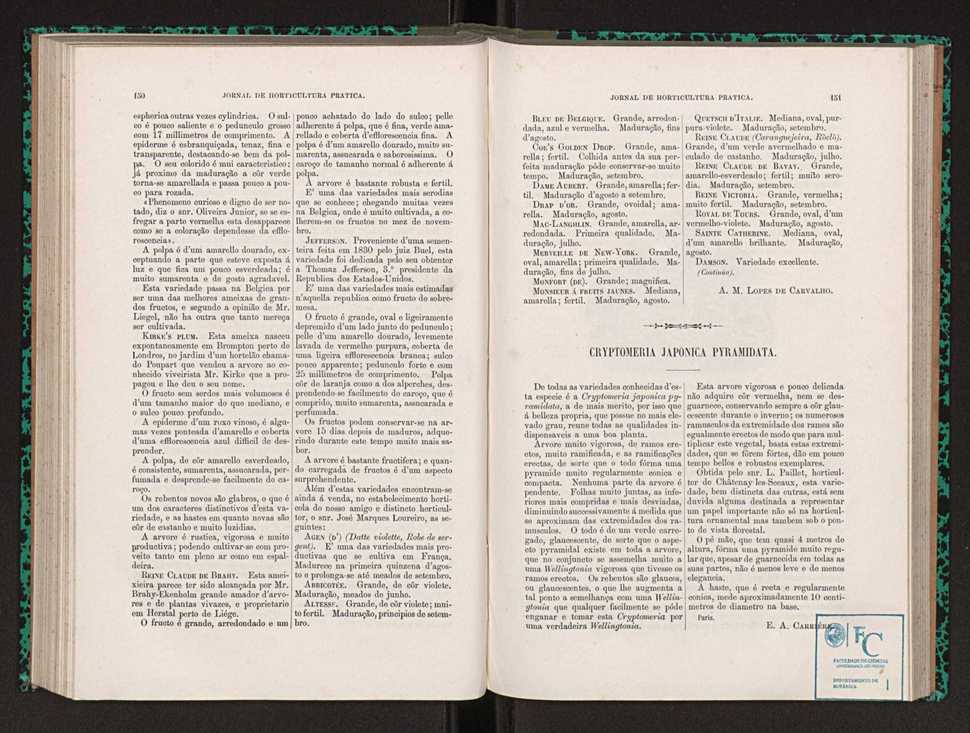 Jornal de horticultura prtica XXII 97