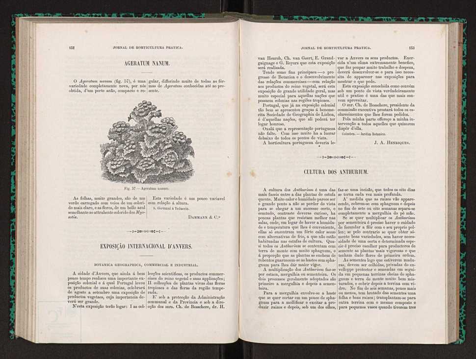Jornal de horticultura prtica XXII 98
