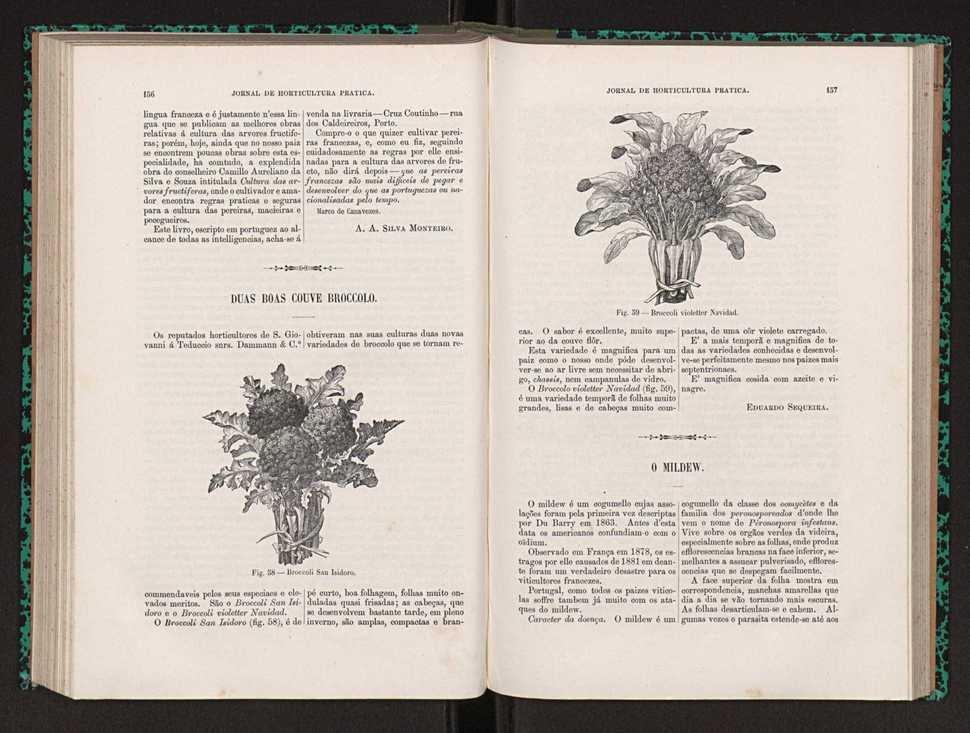 Jornal de horticultura prtica XXII 100
