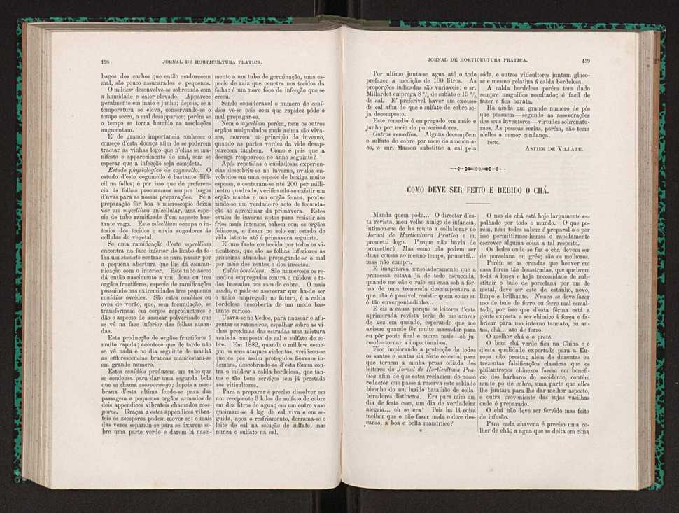 Jornal de horticultura prtica XXII 101