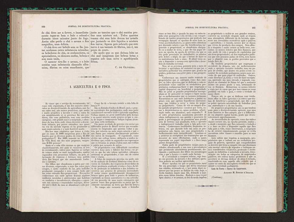 Jornal de horticultura prtica XXII 102