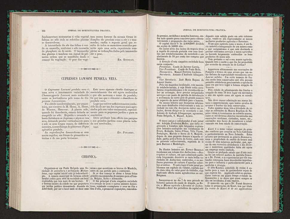 Jornal de horticultura prtica XXII 105