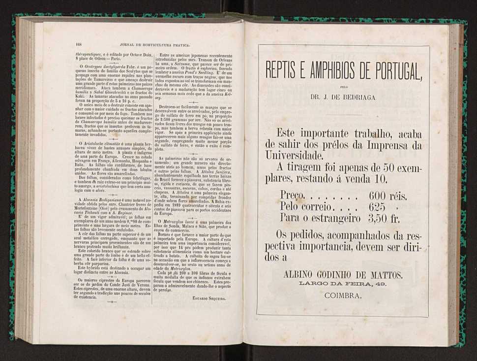 Jornal de horticultura prtica XXII 106