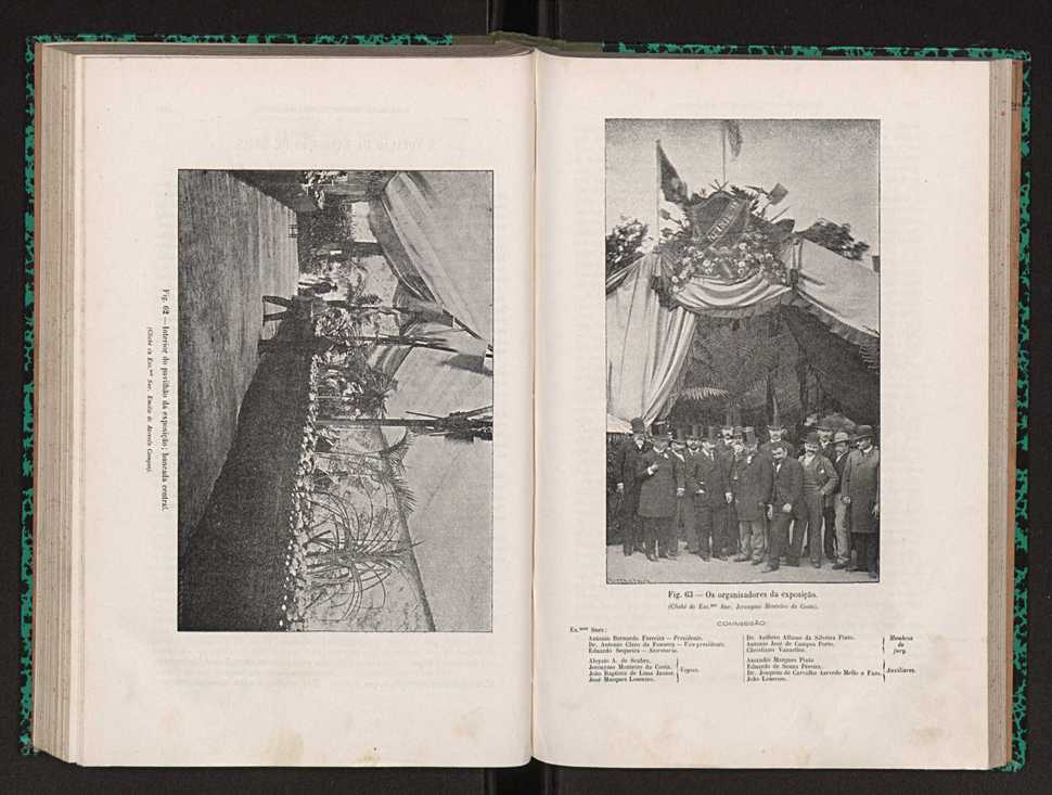 Jornal de horticultura prtica XXII 110