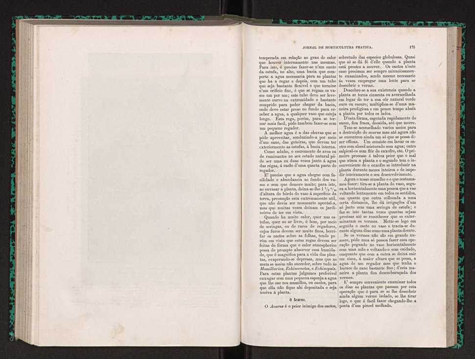 Jornal de horticultura prtica XXII 111