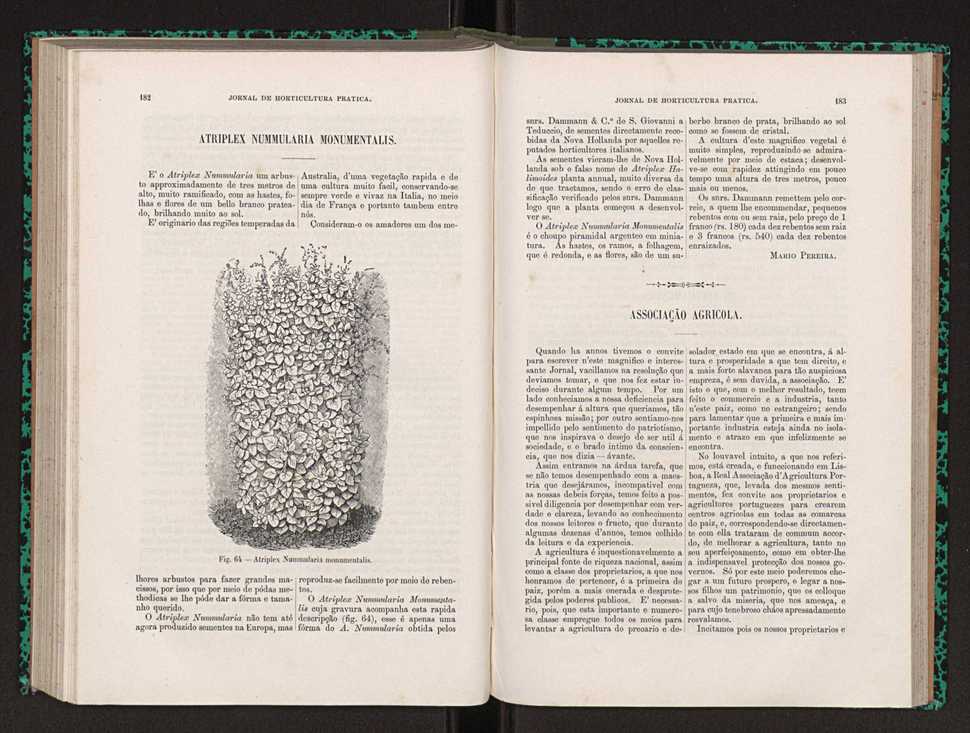 Jornal de horticultura prtica XXII 115