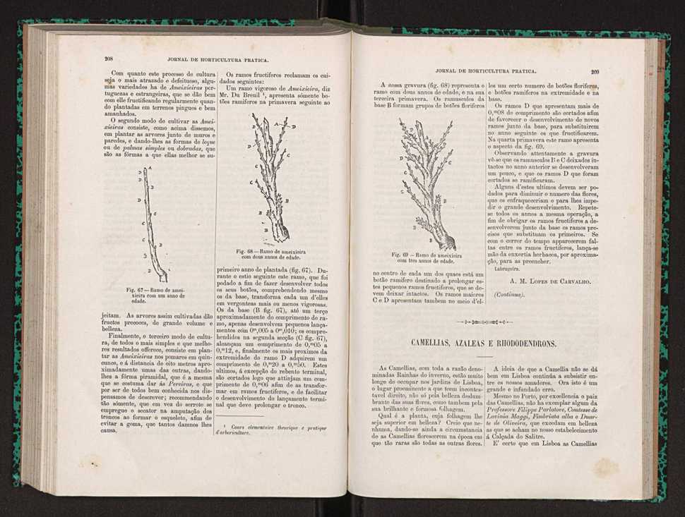 Jornal de horticultura prtica XXII 130