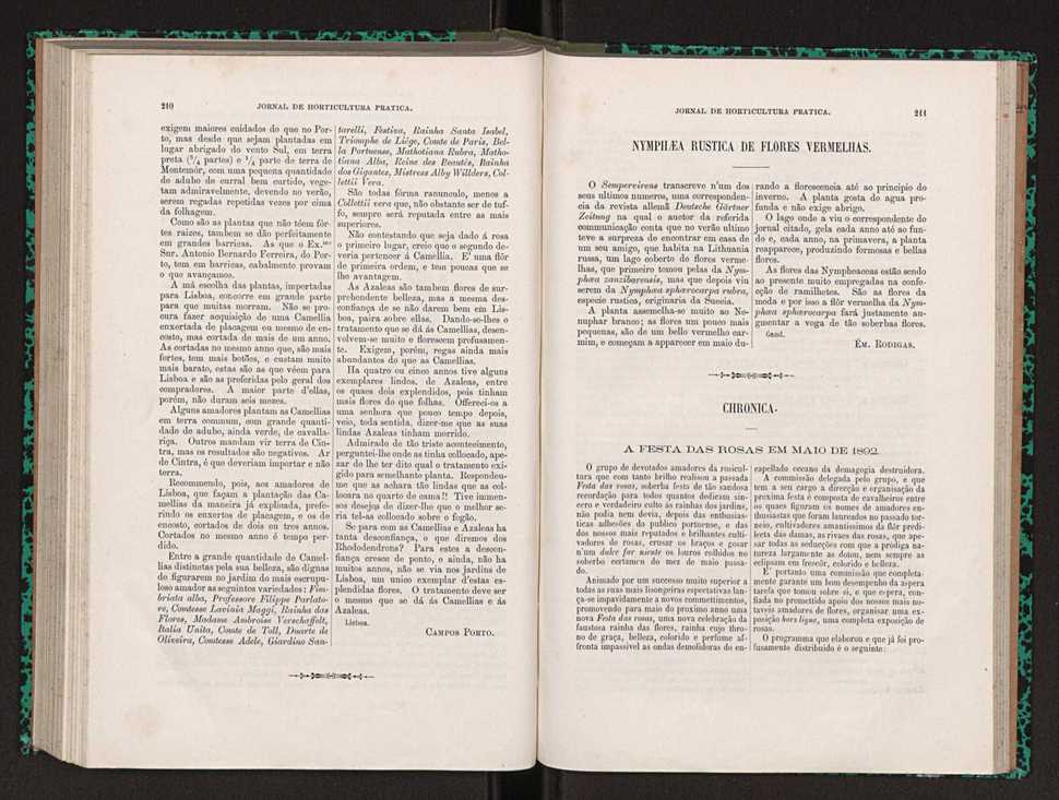 Jornal de horticultura pr�tica XXII 131