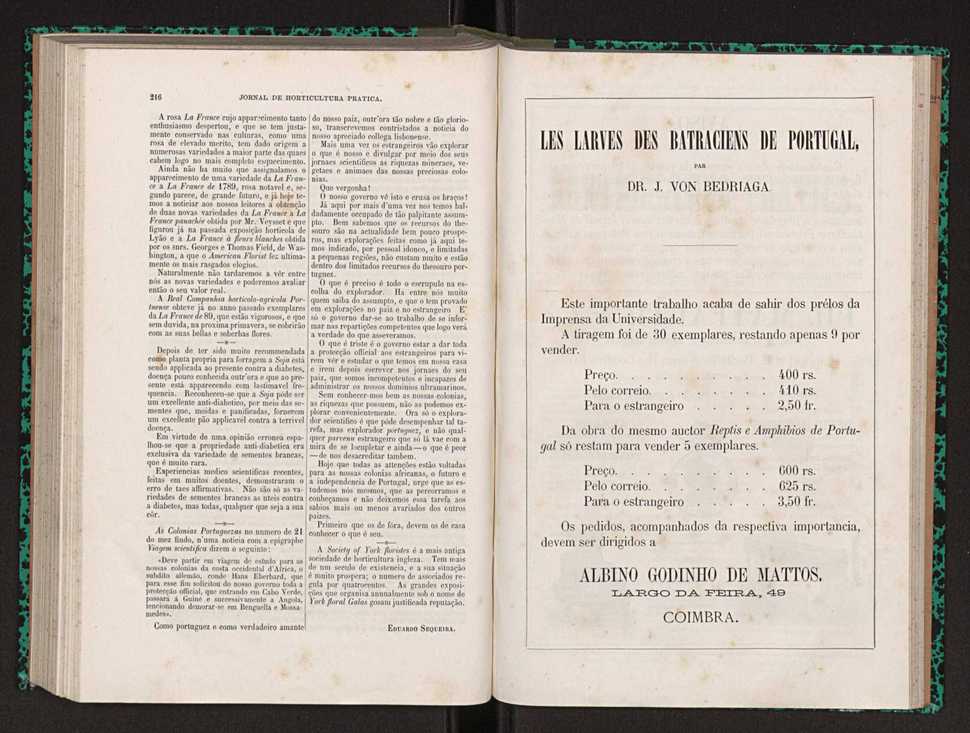 Jornal de horticultura prtica XXII 134