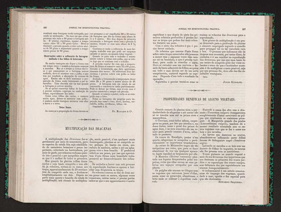Jornal de horticultura prtica XXII 141