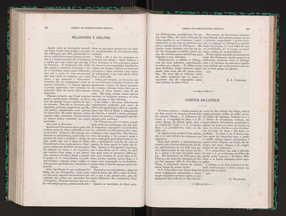 Jornal de horticultura prtica XXII 145