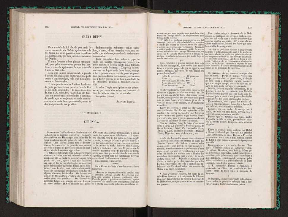 Jornal de horticultura prtica XXII 146