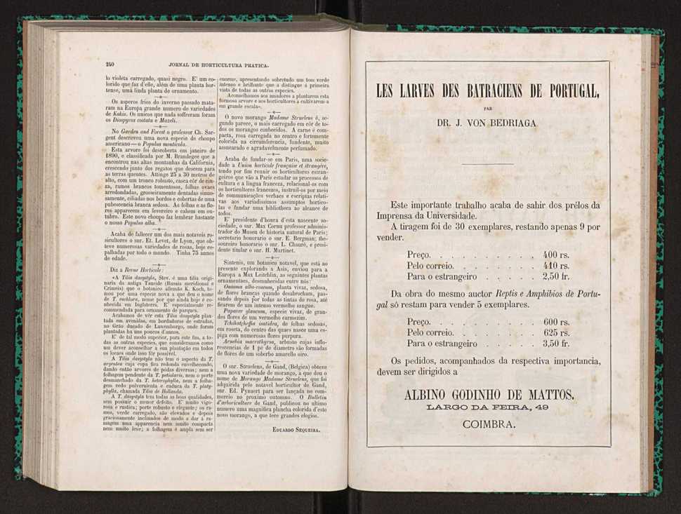 Jornal de horticultura prtica XXII 148