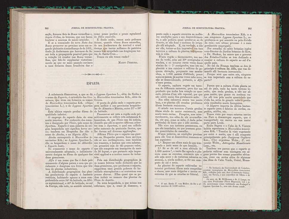 Jornal de horticultura prtica XXII 151