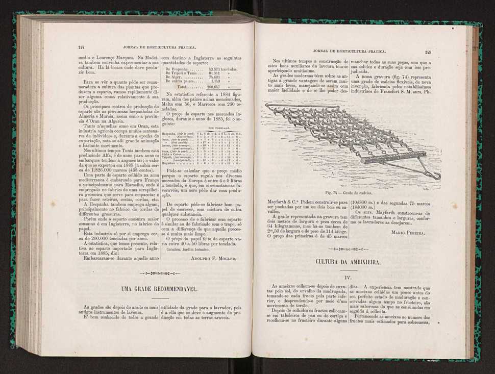 Jornal de horticultura prtica XXII 152