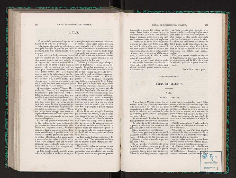 Jornal de horticultura prtica XXII 155