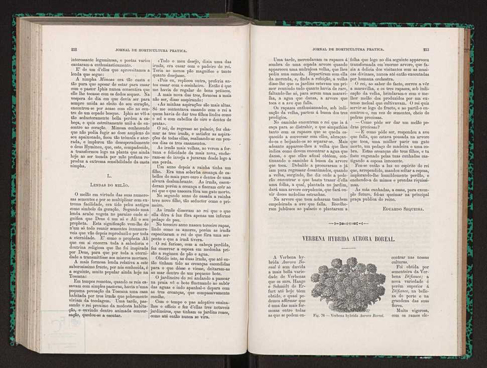 Jornal de horticultura prtica XXII 156