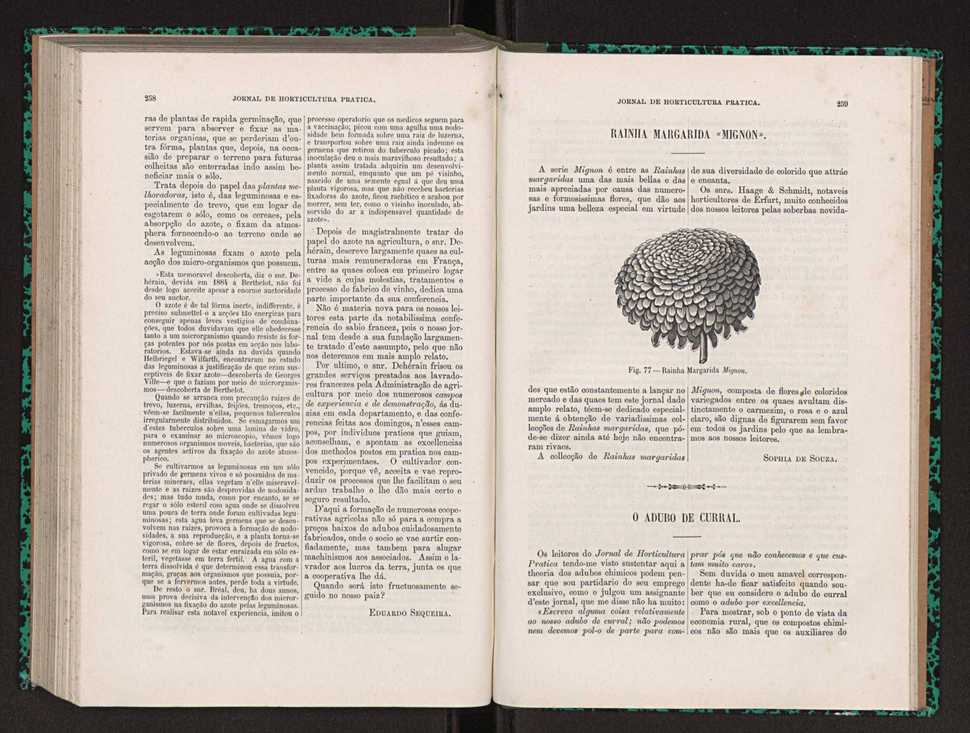 Jornal de horticultura prtica XXII 159