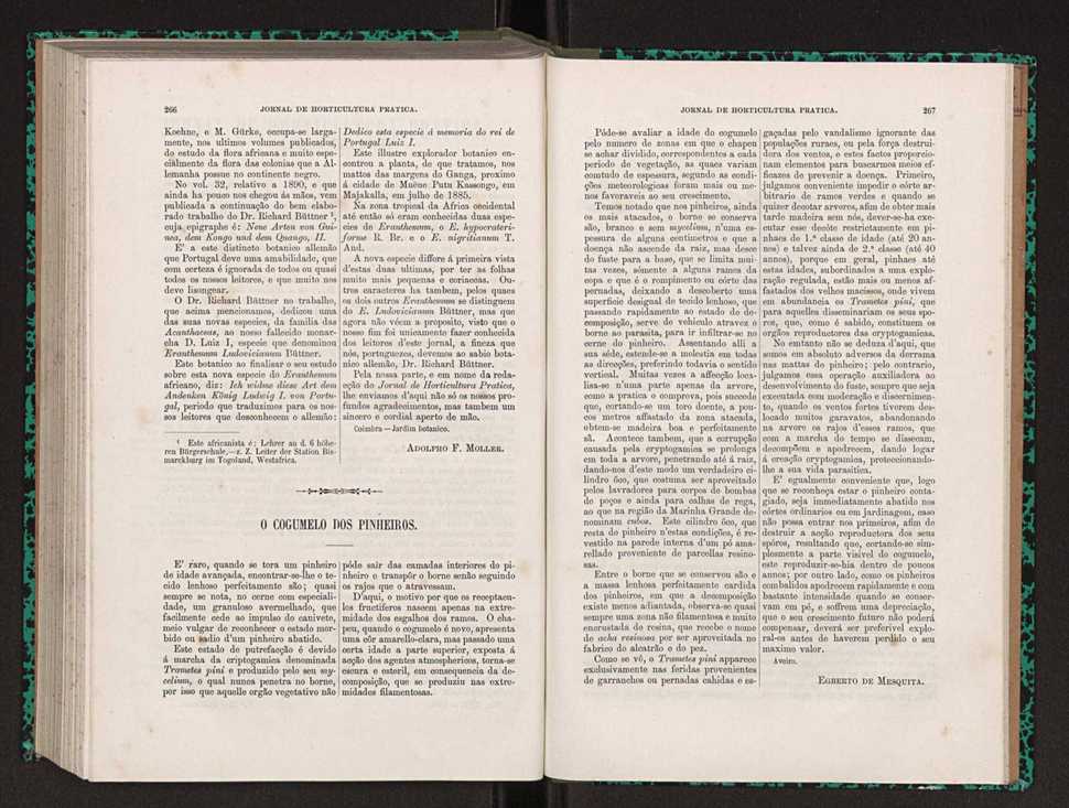 Jornal de horticultura prtica XXII 165