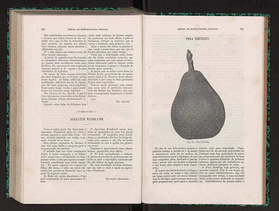 Jornal de horticultura prtica XXII 167