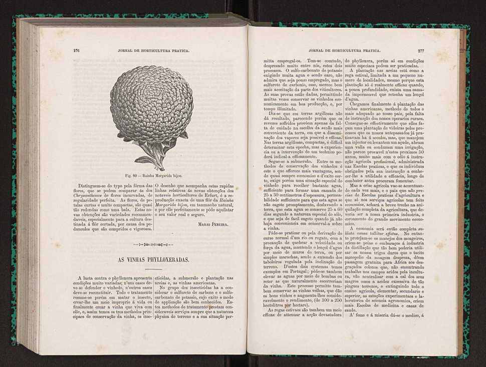 Jornal de horticultura prtica XXII 170