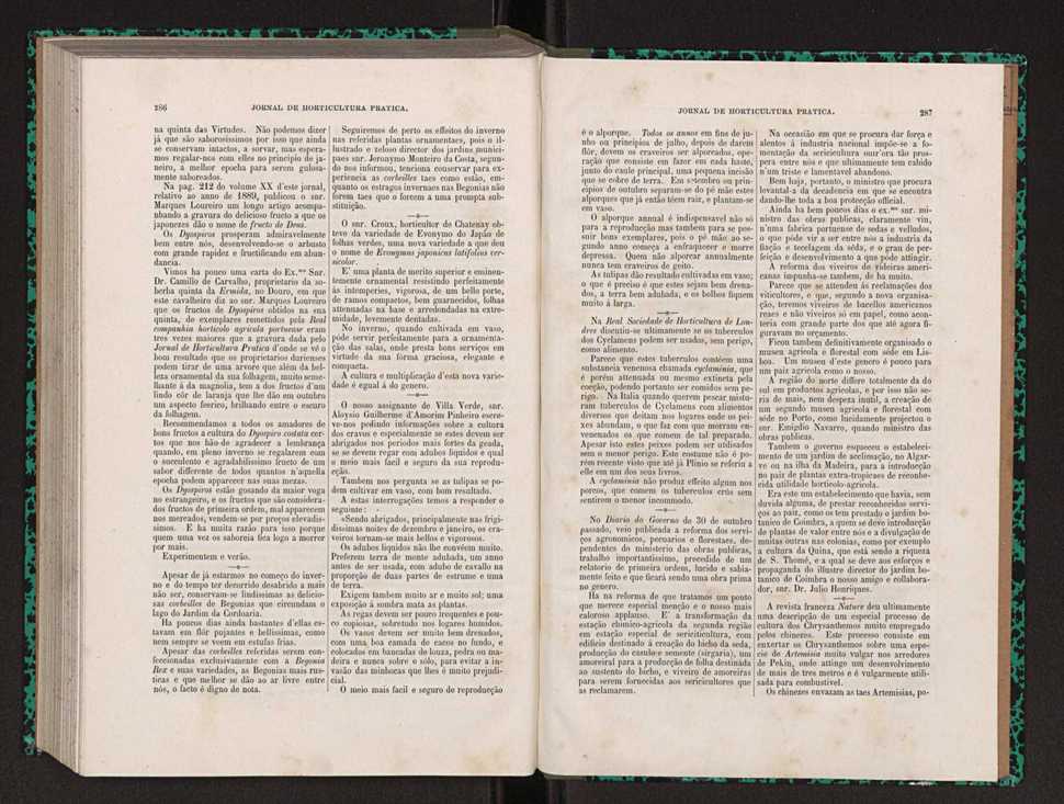 Jornal de horticultura prtica XXII 175