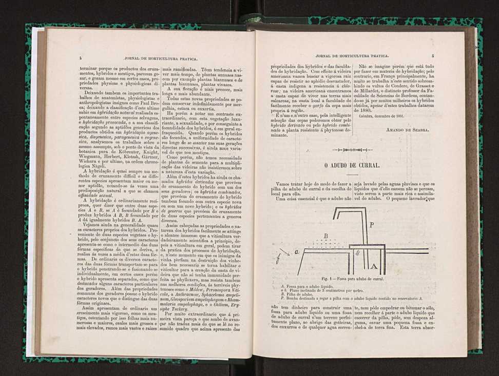 Jornal de horticultura prtica XXIII 9