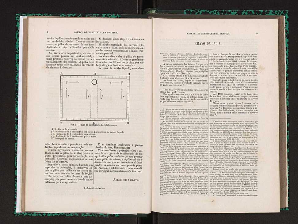 Jornal de horticultura prtica XXIII 10