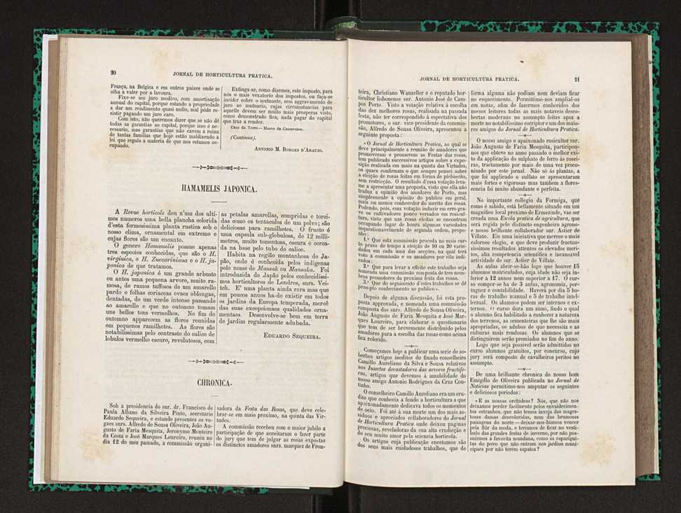Jornal de horticultura pr�tica XXIII 17