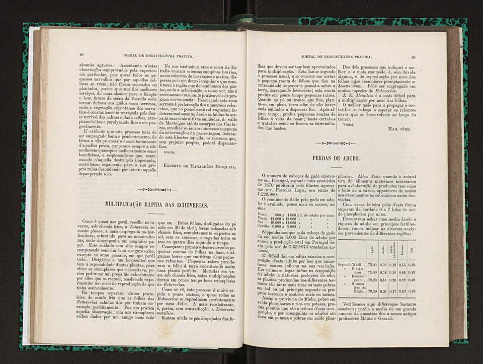 Jornal de horticultura pr�tica XXIII 21