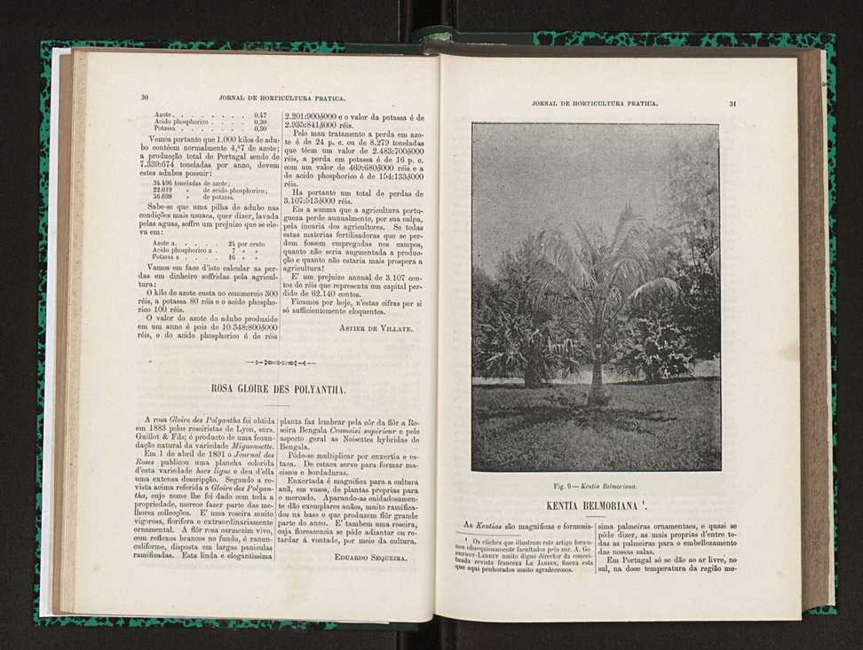 Jornal de horticultura prtica XXIII 22